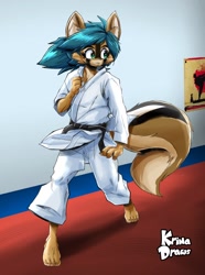 Size: 1526x2048 | Tagged: safe, artist:krimadraws, mammal, rodent, squirrel, anthro, brown body, brown fur, clothes, ears, female, fur, green eyes, hair, indoors, karate, martial arts, paws, solo, solo female, tail, teal hair