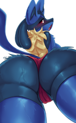 Size: 2500x4000 | Tagged: suggestive, artist:faejunkie, fictional species, lucario, mammal, nintendo, pokémon, 2022, blushing, breasts, butt, cameltoe, clothes, huge butt, looking at you, looking back, looking back at you, looking down, looking down at you, panties, partial nudity, sideboob, tail, thick thighs, thighs, topless, underwear