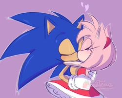 230441 - safe, artist:butterrrmoth, amy rose (sonic), sonic the