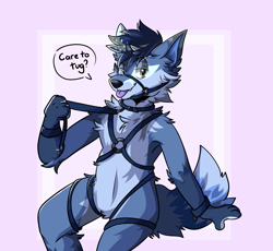 Size: 1761x1623 | Tagged: suggestive, artist:tired_saber, oc, oc only, oc:double colon, canine, mammal, rexouium, anthro, abstract background, blue body, blue fur, blue hair, cheek fluff, chest fluff, collar, commission, cyan eyes, ear fluff, english, english text, fluff, fur, hair, harness, head fluff, male, neck fluff, solo, solo male, speech bubble, tack, tail, tail fluff, text, ych result