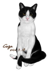 Size: 640x905 | Tagged: safe, artist:可可亞, cat, feline, mammal, solo