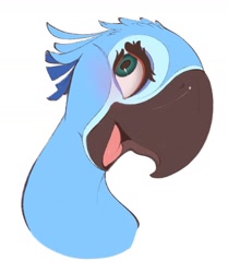 Size: 1079x1289 | Tagged: safe, artist:tohupony, jewel (rio), bird, macaw, parrot, spix's macaw, ambiguous form, blue sky studios, rio, 2023, 2d, beak, female, open beak, open mouth, simple background, solo, solo female, white background