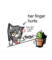 Size: 1260x1446 | Tagged: safe, artist:tunaplus_c, texas (arknights), animal humanoid, canine, fictional species, mammal, wolf, humanoid, arknights, black hair, cactus, clothes, cross-popping veins, english text, female, flower pot, frowning, hair, holding, holding object, no mouth, orange eyes, plant, potted plant, shirt, simple background, solo, solo female, tears, text, topwear, tweezers, white background