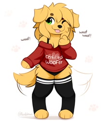 Size: 1750x2000 | Tagged: safe, artist:accelldraws, oc, oc:friday (accelldraws), canine, dog, golden retriever, mammal, anthro, ambiguous gender, blep, chest fluff, clothes, fluff, one eye closed, panties, socks, sweater, tail, tail wag, tongue, tongue out, topwear, underwear