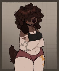 Size: 1691x2048 | Tagged: safe, artist:kettlephish, canine, dog, mammal, anthro, clothes, female, hair, hair over eyes, panties, solo, solo female, thick thighs, thighs, topwear, underwear, wide hips