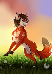 Size: 2893x4092 | Tagged: safe, artist:kidaoriginal, oc, oc:poppy (lavallett1), canine, fox, mammal, wolf, feral, 2022, body markings, commission, cute, dipstick tail, female, field, freckles, happy, jumping, paws, playful, smiling, tail, ych, ych result