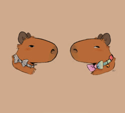 Size: 1706x1550 | Tagged: safe, artist:kettlephish, capybara, mammal, rodent, ambiguous form, feral, ambiguous gender, ambiguous only, bell, brown background, bust, collar, duo, duo ambiguous, meme, ribbon, simple background