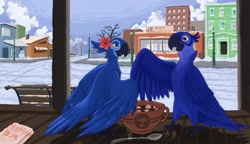 Size: 1280x736 | Tagged: safe, artist:domadibo, blu (rio), jewel (rio), bird, macaw, parrot, spix's macaw, feral, blue sky studios, rio, 2011, 2d, beak, bench, blue eyes, blue feathers, brown eyes, building, cocoa, duo, duo male and female, feathers, female, food, looking at each other, male, marshmallow, open beak, open mouth, snow, spoon, winter