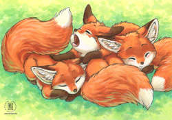 Size: 739x518 | Tagged: safe, artist:kacey, canine, fox, mammal, red fox, feral, 2010, 2d, ambiguous gender, ambiguous only, cuddling, cute, dipstick tail, eyes closed, featured image, group, hug, kit, open mouth, sleeping, tail, trio, trio ambiguous, yawning