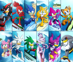 Size: 1768x1520 | Tagged: safe, artist:biko97, amy rose (sonic), blaze the cat (sonic), espio the chameleon (sonic), jet the hawk (sonic), knuckles the echidna (sonic), marine the raccoon (sonic), miles "tails" prower (sonic), shadow the hedgehog (sonic), sonic the hedgehog (sonic), storm the albatross (sonic), wave the swallow (sonic), albatross, bird, bird of prey, canine, cat, echidna, feline, fox, hawk, hedgehog, mammal, monotreme, petrel, procyonid, raccoon, red fox, songbird, swallow, anthro, sega, sonic the hedgehog (series), 2 toes, 3 toes, beak, black body, black fur, blue eyes, brown body, brown fur, cheek fluff, chest fluff, claws, clothes, eyelashes, female, fluff, fur, gesture, gray body, gray fur, green eyes, group, male, multicolored fur, multiple tails, ocean, paw pads, paws, peace sign, red body, red eyes, red fur, smiling, surfboard, surfing, swim trunks, swimsuit, tail, talons, two tails, water, wave, yellow body, yellow eyes, yellow fur