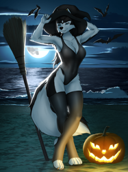Size: 1662x2217 | Tagged: safe, artist:mykegreywolf, oc, oc only, bat, canine, mammal, wolf, anthro, 2023, armpits, barefoot, beach, blue eyes, breasts, broomstick, claws, cleavage, clothes, cloud, cloudy, costume, ear piercing, female, fur, halloween, halloween costume, hat, headwear, holiday, jack-o-lantern, legwear, moon, multicolored fur, one-piece swimsuit, piercing, pumpkin, solo, solo female, swimsuit, tail, two toned body, two toned fur, witch hat