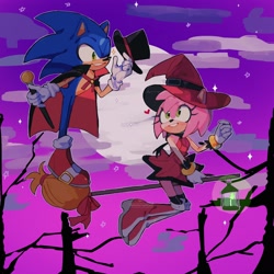 Size: 2560x2560 | Tagged: safe, artist:historiaallen, amy rose (sonic), sonic the hedgehog (sonic), hedgehog, mammal, sega, sonic the hedgehog (series), clothes, costume, female, halloween, halloween costume, holiday, male, male/female, moon, shipping, sonamy (sonic)