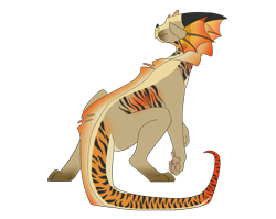 Size: 1700x1350 | Tagged: safe, oc, oc only, oc:be, dragon, fictional species, rainwing, reptile, sandwing, feral, wings of fire (book series), arist:king quince, herm, horns, intersex, king quince, male, scales, simple background, solo, solo male, tail