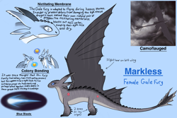 Size: 1600x1067 | Tagged: safe, artist:spicyzalmoxes, oc, oc:markless, dragon, fictional species, dreamworks animation, how to train your dragon, 2020, blue background, blue eyes, emoji, english text, gale fury, reference sheet, simple background, text