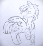 Size: 1880x2000 | Tagged: safe, artist:lil_vampirecj, oc, oc only, equine, fictional species, mammal, pegasus, pony, feral, hasbro, my little pony, chest fluff, fluff, full body, fur, hair, hooves, male, mane, neck fluff, simple background, sketch, solo, solo male, tail, tail fluff, traditional art, white background, wings