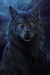 Size: 200x300 | Tagged: safe, official art, canine, mammal, wolf, feral, lifelike feral, ambiguous gender, black body, black fur, black nose, detailed background, fur, grass, looking at you, low res, night, non-sapient, outdoors, realistic, solo, solo ambiguous, wolvden