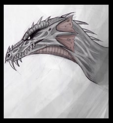 Size: 1030x1119 | Tagged: safe, artist:grinu, dragon, fictional species, western dragon, feral, 2012, ambiguous gender, digital art, gray body, gray scales, headshot, scales, sharp teeth, solo, solo ambiguous, teeth