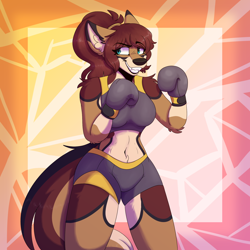 Size: 1800x1800 | Tagged: safe, artist:silvetz, oc, canine, mammal, wolf, anthro, bottomwear, boxing, boxing gloves, brown body, brown fur, brown hair, clothes, ears, female, fur, gloves, hair, shorts, solo, solo female, sports bra, standing, tail, tan body, tan fur, teal eyes, teeth, topwear