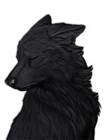 Size: 150x200 | Tagged: safe, official art, canine, mammal, wolf, feral, ambiguous gender, black body, black fur, black nose, eyes closed, fur, low res, sad, simple background, solo, solo ambiguous, transparent background, wolvden