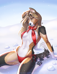 Size: 988x1280 | Tagged: safe, artist:wyla, oc, oc only, oc:meg (wyla), border collie, canine, collie, dog, mammal, anthro, 2022, belly button, bikini, breasts, clothes, detailed background, digital art, ears, eyelashes, female, fur, hair, pose, sitting, snow, solo, solo female, swimsuit, wide hips