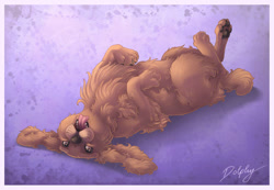 Size: 650x449 | Tagged: safe, artist:dolphiana, canine, cocker spaniel, dog, mammal, spaniel, feral, 2008, 2d, belly fluff, black nose, black paw pads, brown eyes, cheek fluff, chest fluff, cute, ear fluff, fluff, fur, leg fluff, lying down, male, on back, open mouth, paw pads, paws, pink tongue, playful, signature, solo, solo male, tail, tail fluff, tan body, tan fur, tongue, tongue out
