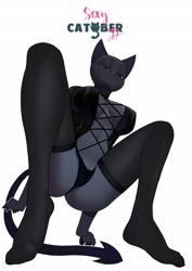 Size: 2892x4096 | Tagged: suggestive, artist:feliscede, oc, oc only, oc:void (feliscede), cat, feline, mammal, anthro, digitigrade anthro, series:sexy catober (by feliscede), 2022, belly button, black nose, breasts, clothes, corset, digital art, ears, eyelashes, female, fur, legwear, nipple outline, panties, pose, simple background, solo, solo female, stockings, tail, thighs, underwear, white background, wide hips