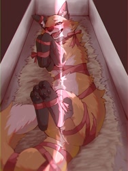 Size: 1536x2048 | Tagged: safe, artist:kurumilky6, canine, fox, mammal, feral, ambiguous gender, blushing, gift wrapped, lying down, paw pads, paws, tail