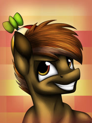Size: 774x1032 | Tagged: safe, artist:lupiarts, button mash (mlp), earth pony, equine, fictional species, mammal, pony, feral, friendship is magic, hasbro, my little pony, 2016, 2d, brown body, brown eyes, brown fur, brown hair, brown mane, bust, clothes, colt, foal, front view, fur, grin, hair, hat, headwear, male, mane, portrait, propeller hat, smiling, solo, solo male, three-quarter view, young