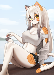 Size: 1530x2120 | Tagged: safe, artist:korfiorano, nameless oc, oc, oc only, calico, cat, feline, mammal, anthro, 2023, barefoot, belly button, black shorts, blurred background, blushing, bottomwear, breasts, clothes, detailed background, female, fur, gray body, gray fur, gray hair, hair, heart, high res, lake, long hair, looking at you, medium breasts, multicolored body, multicolored fur, multiple tails, orange body, orange fur, paw pads, paws, shorts, sitting, sky, smiling, smiling at you, solo, solo female, tail, tank top, topwear, water, white body, white fur, white hair, yellow eyes