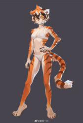 Size: 2556x3800 | Tagged: safe, artist:feijio yizhi, waaifu (arknights), big cat, feline, mammal, tiger, anthro, digitigrade anthro, arknights, 2023, absurd resolution, barefoot, belly button, bra, breasts, clothes, female, fur, gray background, hair, high res, logo, looking at you, multicolored fur, multicolored hair, orange body, orange eyes, orange fur, panties, pose, short hair, simple background, small breasts, solo, solo female, standing, striped fur, tail, underwear, white body, white bra, white fur, white panties, white underwear