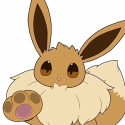 Size: 720x720 | Tagged: source needed, safe, artist:tontaro, eevee, eeveelution, fictional species, mammal, feral, nintendo, pokémon, 2022, ambiguous gender, behaving like a cat, digital art, ears, fluff, fur, looking at you, neck fluff, open mouth, paw pads, paws, pressed against glass, simple background, solo, solo ambiguous, tail, unamused