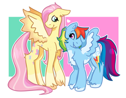Size: 1280x998 | Tagged: safe, artist:sonorousinclemency, fluttershy (mlp), rainbow dash (mlp), equine, fictional species, mammal, pegasus, pony, feral, friendship is magic, hasbro, my little pony, 2023, duo, duo female, feathered wings, feathers, female, female/female, females only, flutterdash (mlp), freckles, heart, height difference, hooves, looking at each other, looking at someone, mare, shipping, smiling, smiling at each other, spread wings, tail, unshorn fetlocks, wings