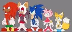 Size: 3752x1672 | Tagged: safe, artist:storminghearts, amy rose (sonic), knuckles the echidna (sonic), miles "tails" prower (sonic), rouge the bat (sonic), sonic the hedgehog (sonic), bat, canine, echidna, fox, hedgehog, mammal, monotreme, anthro, sega, sonic the hedgehog (series), female, gray background, male, simple background