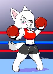 Size: 977x1356 | Tagged: safe, artist:behemotoh, oc, cat, feline, mammal, anthro, animal boxing, boxing, boxing gloves, cami (animal boxing), clothes, gloves
