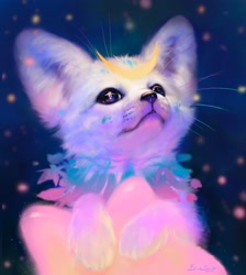 Size: 1836x2048 | Tagged: safe, artist:mikren, canine, fennec fox, fox, mammal, feral, ambiguous gender, moon, night, solo, star, stars
