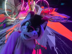Size: 1280x960 | Tagged: safe, cute, ears, eyes, fursuit, irl, light, mouth, nose, paint, painting, partial suit, paws, perspective, photo, photography, tongue
