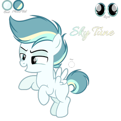 Size: 2048x2048 | Tagged: safe, artist:elementbases, artist:harmonyvitality-yt, oc, oc only, oc:sky tune, equine, fictional species, mammal, pegasus, pony, feral, series:my little pony: friendship magic never ends, friendship is magic, hasbro, my little pony, 2022, base used, biography, colt, foal, male, offspring, parent:sky stinger (mlp), parent:vapor trail (mlp), parents:vaporsky (mlp), rearing, simple background, solo, solo male, transparent background, wings, young