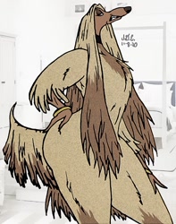 Size: 618x783 | Tagged: safe, artist:gogglejay93, sylvie (balto), afghan hound, canine, dog, mammal, anthro, balto (series), 2d, anthrofied, butt, female, hand on butt, looking at you, signature, solo, solo female