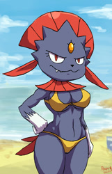 Size: 398x619 | Tagged: safe, artist:poopysocks9, fictional species, weavile, anthro, nintendo, pokémon, 2013, beach, bedroom eyes, belly button, bikini, breasts, clothes, detailed background, digital art, ears, eyelashes, female, fur, hair, looking at you, low res, solo, solo female, swimsuit, tail, thighs, wide hips