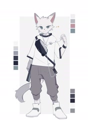 Size: 1563x2215 | Tagged: safe, artist:knochbot, oc, oc only, canine, mammal, anthro, 2022, clothes, color palette, digital art, front view, full body, gray pants, grey pants, looking at you, male, shirt, shoes, solo, solo male, t-shirt, topwear, white shoes, white t-shirt