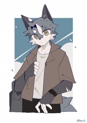 Size: 1448x2048 | Tagged: safe, artist:knochbot, oc, oc only, canine, mammal, anthro, brown jacket, cloud, gray hair, hair, half body, kemono, looking at you, male, sky, solo, solo male