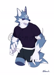 Size: 1477x2048 | Tagged: safe, artist:knochbot, oc, oc only, canine, mammal, anthro, black sclera, blue body, blue fur, briefs, clothes, colored sclera, commission, fur, kemono, male, purple eyes, purple t-shirt, shirt, simple background, solo, solo male, t-shirt, three-quarter portrait, topwear, white background, white body, white fur
