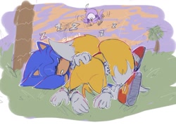 Size: 1178x837 | Tagged: safe, artist:kai_sh1, miles "tails" prower (sonic), sonic the hedgehog (sonic), bird, canine, fox, hedgehog, mammal, anthro, feral, sega, sonic the hedgehog (series), blue body, clothes, eyes closed, fur, gloves, group, lying down, male, multiple tails, outdoors, plant, shoes, sleeping, tail, tree, trio, two tails, yellow body, yellow fur, zzz