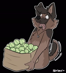 Size: 1855x2048 | Tagged: safe, artist:shibka, canine, dog, german shepherd, mammal, anthro, 2d, ball, black background, double outline, male, simple background, solo, solo male, tennis ball, tongue, tongue out