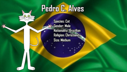 Size: 1919x1094 | Tagged: safe, artist:pedrodoguinho, cat, feline, mammal, anthro, brazil, brazilian, brazilian flag, fur, male, reference sheet, white body, white fur