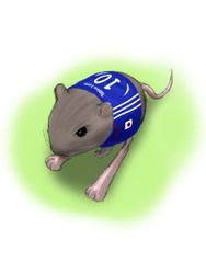 Size: 240x320 | Tagged: safe, artist:夜風薫, jerboa, mammal, rodent, feral, 2007, ambiguous gender, japan, low res, soccer uniform, solo, solo ambiguous