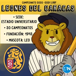 Size: 800x800 | Tagged: safe, artist:carlos hernández, part of a set, big cat, feline, lion, mammal, solo, spanish text, text, translation request, venezuelan professional baseball league