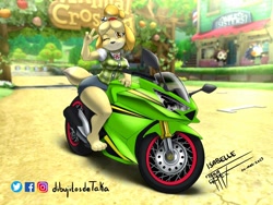 Size: 2048x1536 | Tagged: safe, artist:taka studio, isabelle (animal crossing), canine, dog, mammal, shih tzu, anthro, digitigrade anthro, animal crossing, nintendo, 2023, black nose, bottomwear, breasts, clothes, detailed background, digital art, ears, eyelashes, female, fur, hair, motorcycle, one eye closed, pose, shirt, shorts, solo, solo female, tail, thighs, topwear, vehicle, wide hips