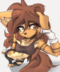 Size: 1728x2069 | Tagged: safe, artist:tinygaypirate, oc, oc:apogee (tinygaypirate), canine, dog, mammal, anthro, 2023, belly button, bottomwear, breasts, brown eyes, brown hair, cheek fluff, clothes, digital art, female, fluff, fur, hair, piercing, shorts, shoulder fluff, simple background, solo, solo female, tail, tail fluff, tan body, tan fur, tank top, tattoo, top view, topwear, white background