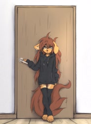 Size: 2104x2864 | Tagged: safe, artist:tinygaypirate, oc, oc:apogee (tinygaypirate), canine, dog, mammal, anthro, 2023, black clothing, black hoodie, black nose, brown eyes, brown hair, claws, clothes, digital art, door, ear fluff, ear piercing, female, fluff, fur, hair, hoodie, indoors, open mouth, paws, piercing, size comparison, solo, solo female, tail, tail fluff, tan body, tan fur, topwear